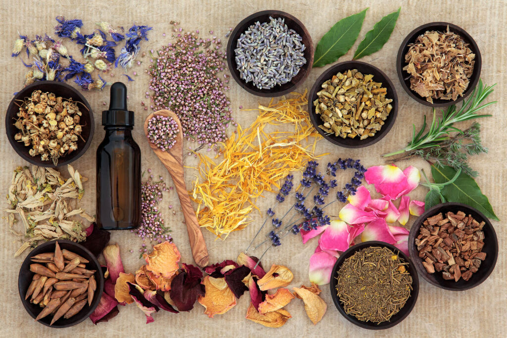 Image of colorful aromatherapy plants. If anxiety symptoms are controlling your life, learn how anxiety therapy in Hermosa Beach, CA can help you begin healing.