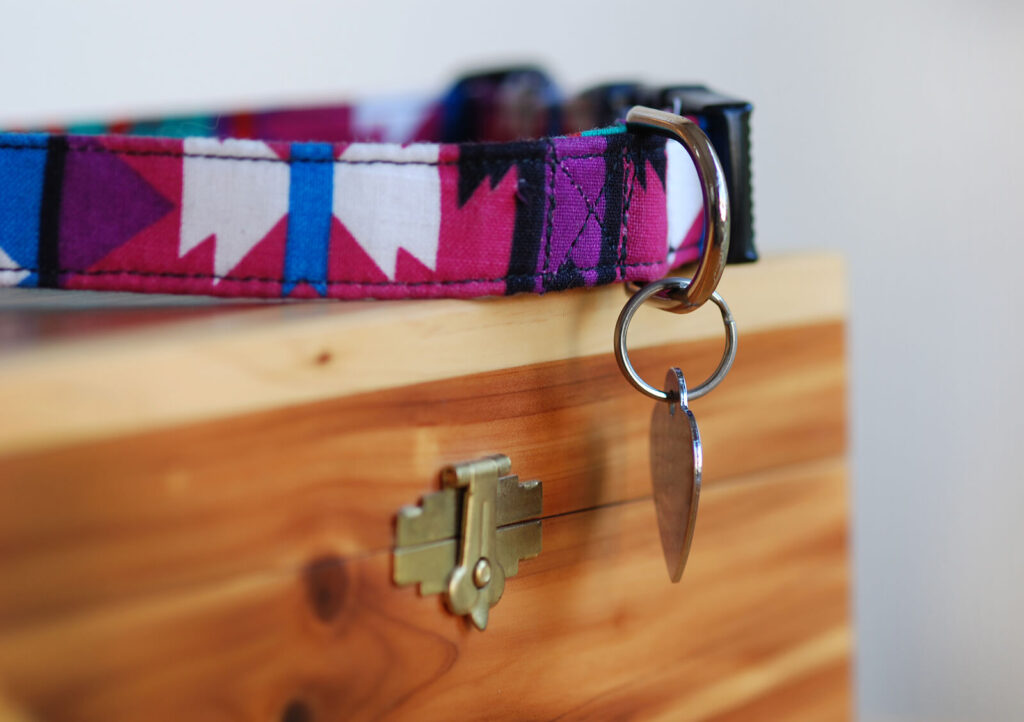 Image of a dog collar sitting on top of a box. If you are dealing with recent grief in your life, learn how life transition therapy in Hermosa Beach, CA can help you heal from your symptoms.