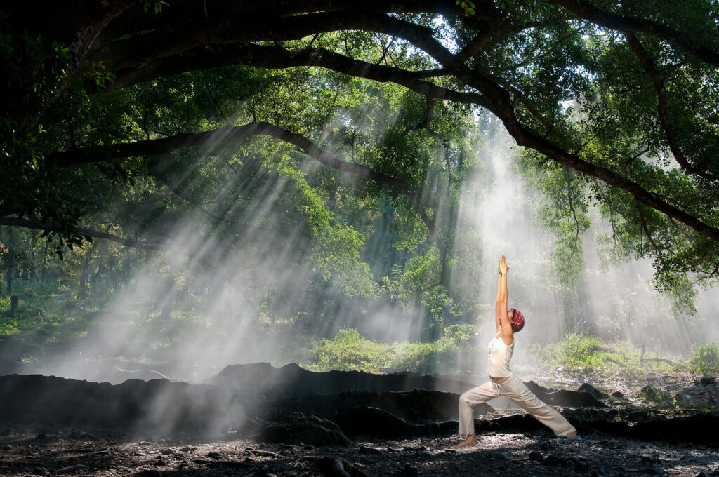 Image of a woman in the forest practicing yoga. Begin thriving through the stress of a major life change with the help of life changes therapy in Manhattan Beach, CA.