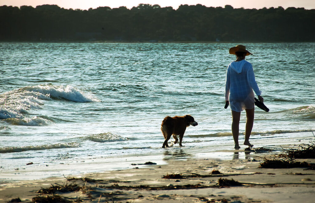 The image of a woman walking on the beach with her dog. Find support in coping with your anxiety symptoms with the help of a skilled anxiety therapist in Manhattan Beach, CA. Find support with holistic healing for anxiety soon.