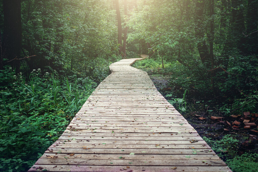 Wooden pathway through forest woods signifying a journey. This image represents the holistic journey you can embark on to help you heal from your anxiety symptoms with holistic anxiety therapy in Manhattan Beach, CA.