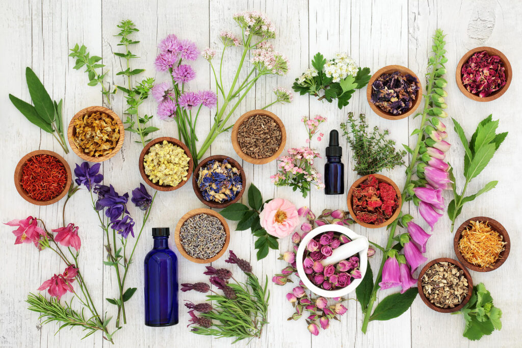 Image of colorful herbs and flowers used for holistic purposes. If you have high-achieving anxiety, discover how a skilled anxiety therapist in Manhattan Beach, CA can help you cope in healthy ways.